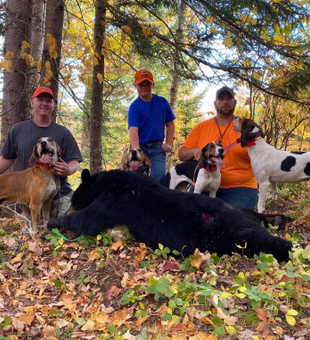 Maine hunting: rugged terrain, thrilling hunts!